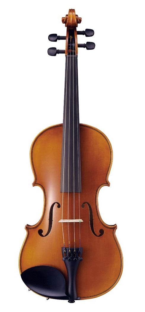 The Violin - Get-Tuned.com