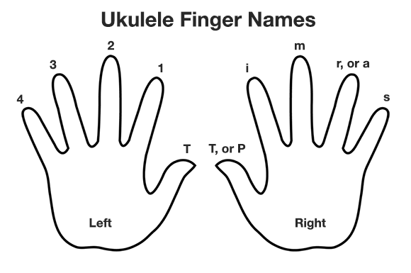 the names of the fingers in playing the ukulele