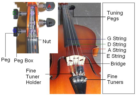 parts of the violin